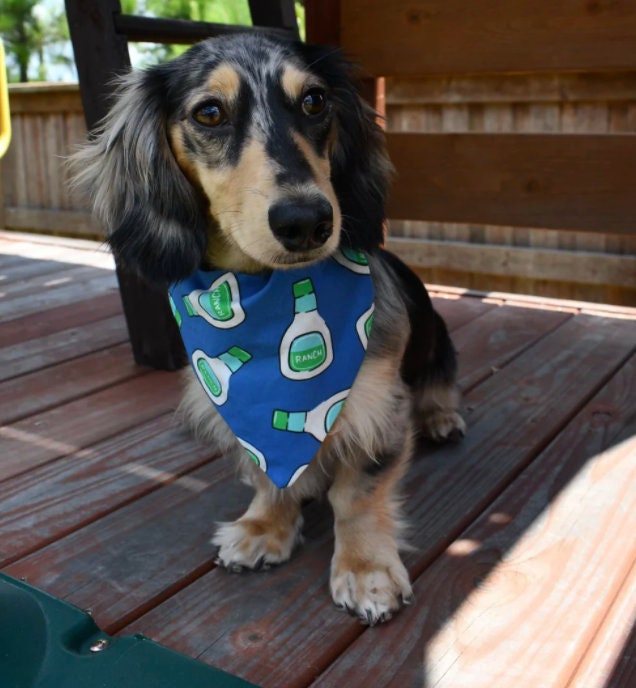 Ranch Bandana