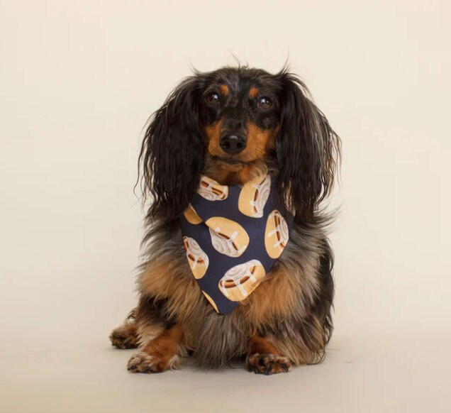 Cinnamon Roll Bandana
