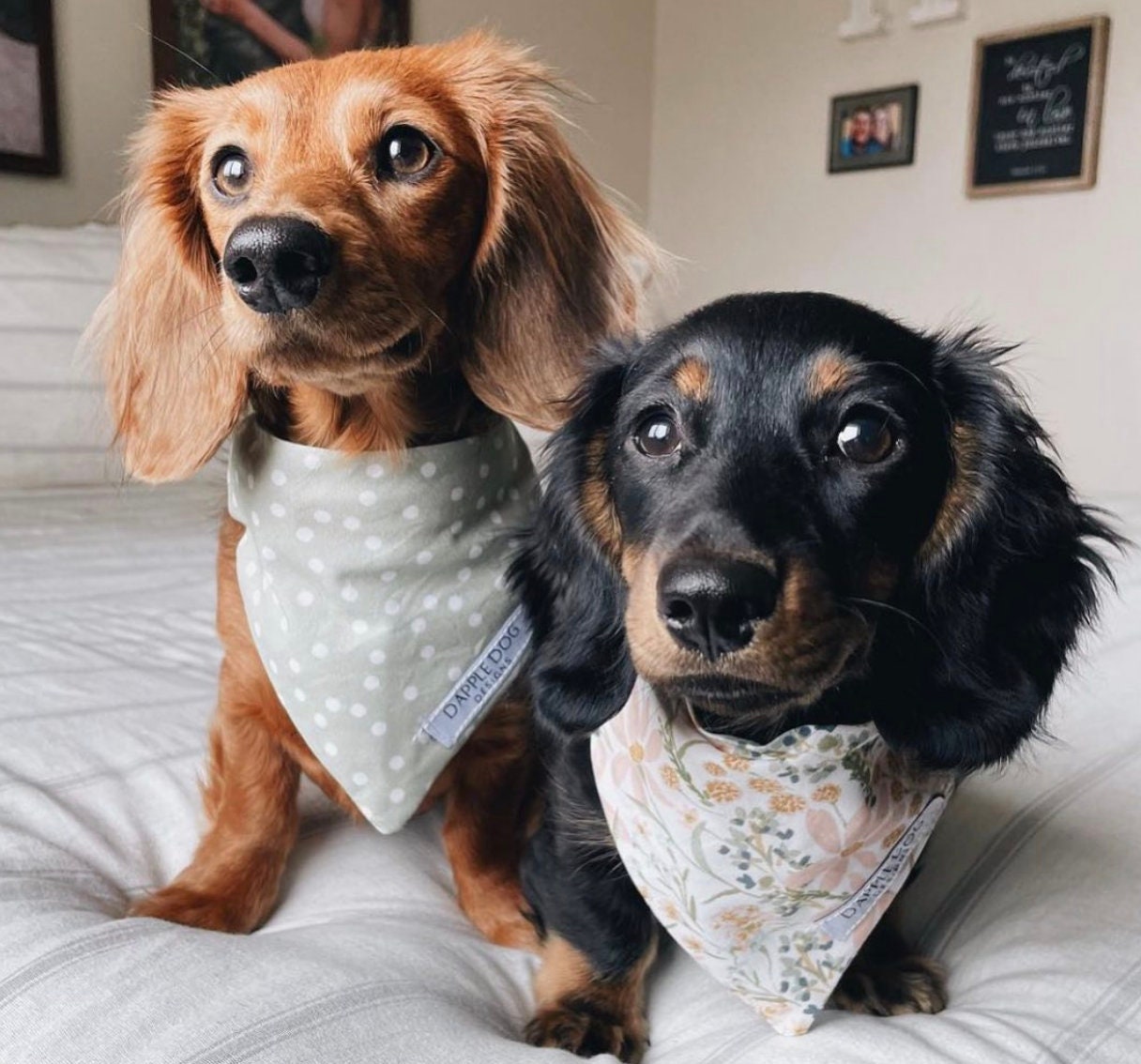 Dotted Olive Bandana