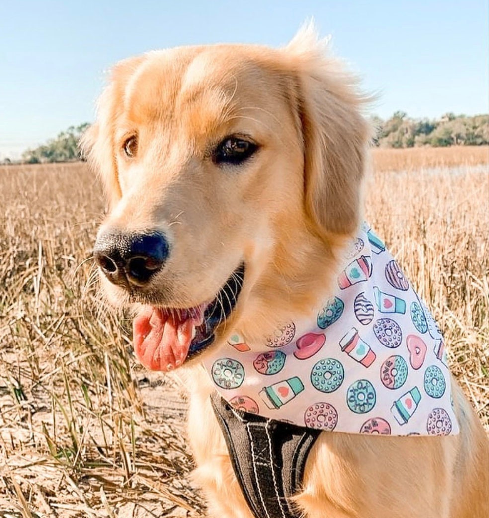 Love You a Latte Bandana