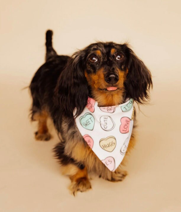 Conversation Hearts Bandana