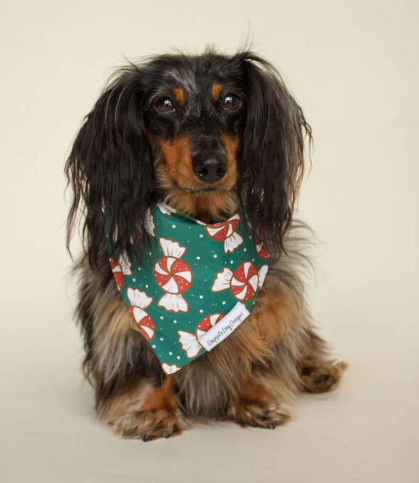 Peppermint Please Bandana