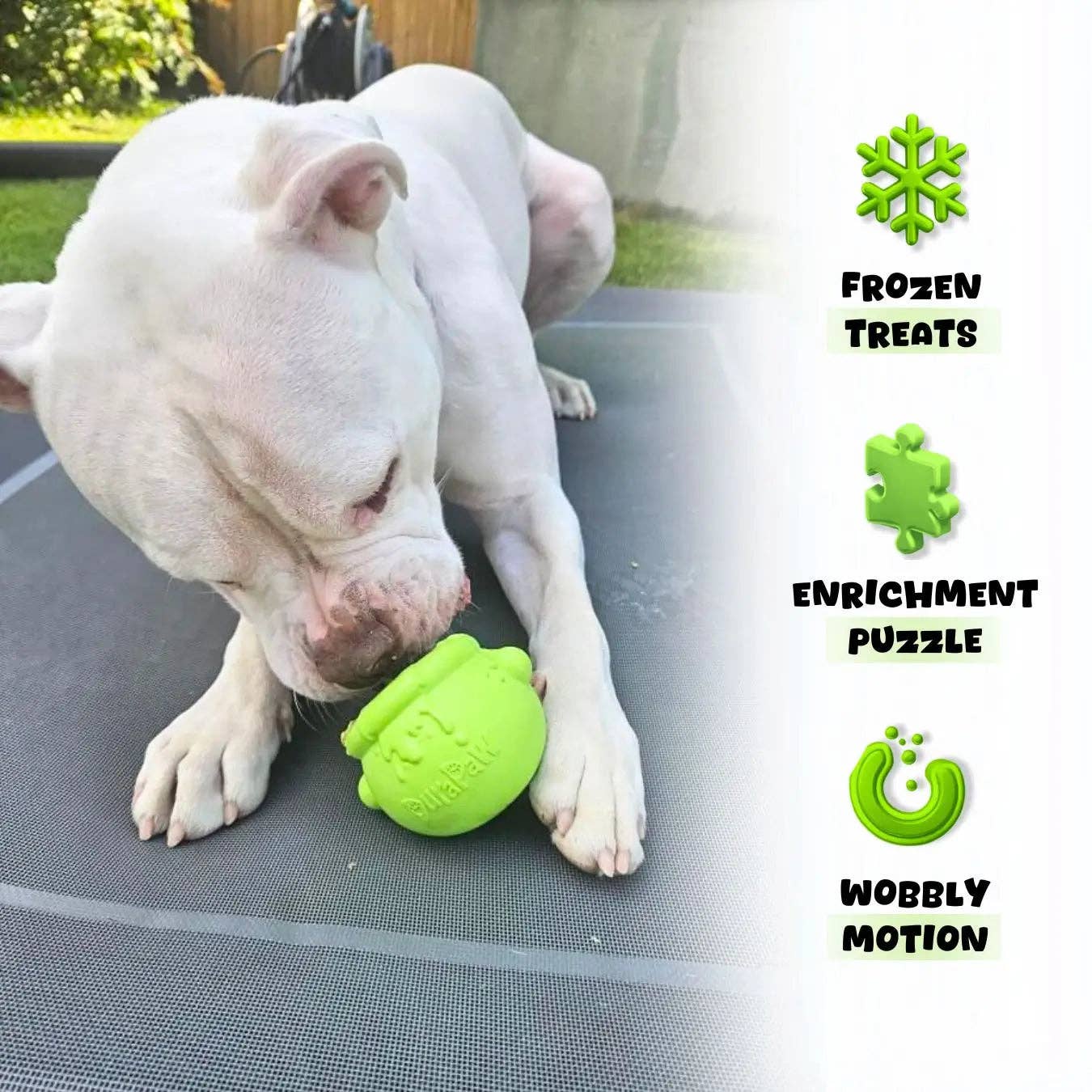 Cauldron Chewer Enrichment Toppler Bowl | DuraPaw