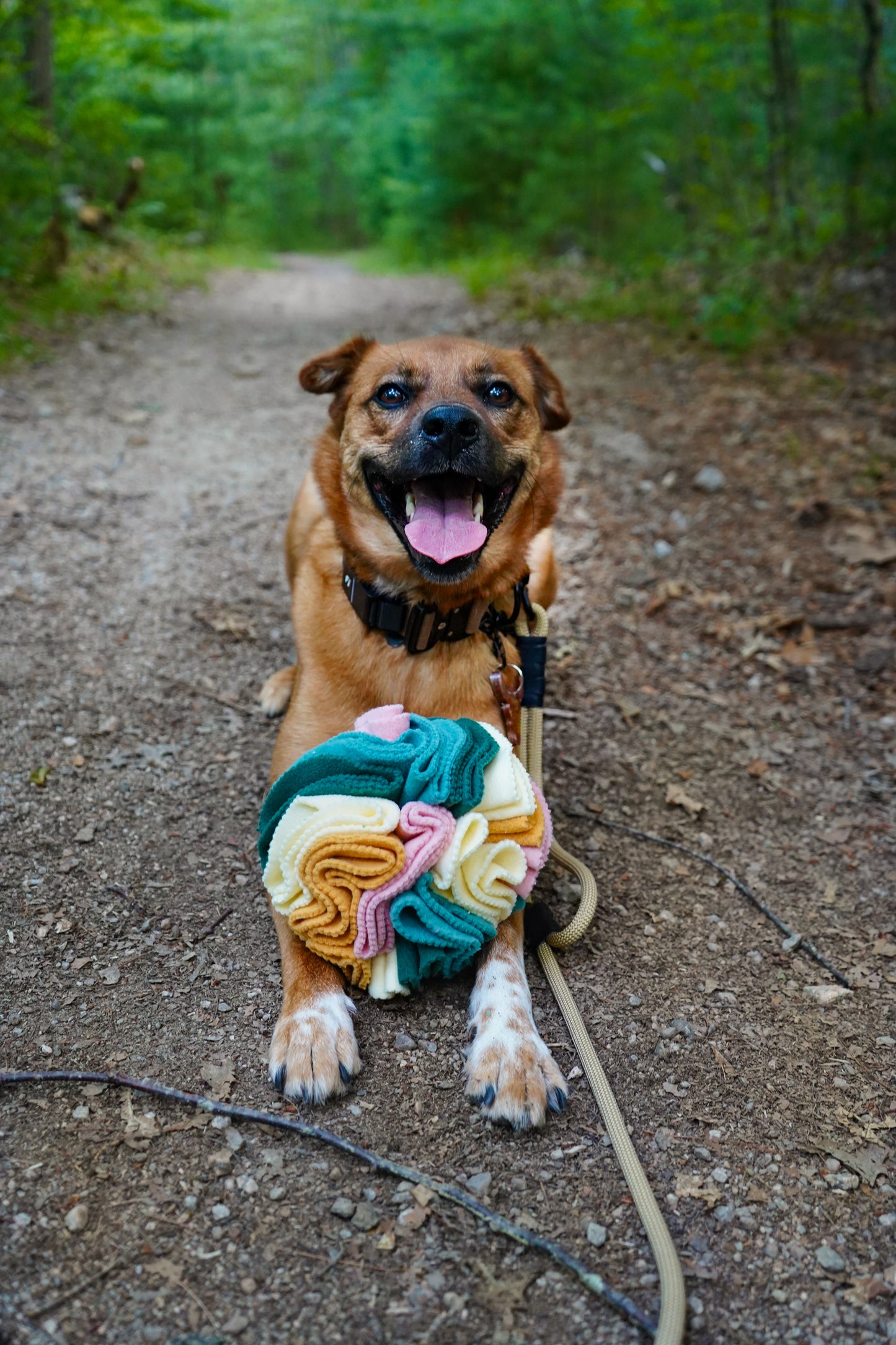 The Koda Snacks Snuffle Ball | Love Liparu