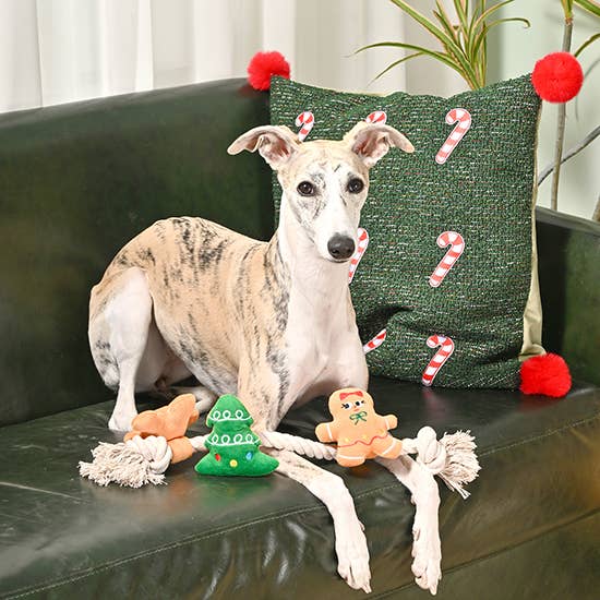Holiday Gingerbread Man Tug | HugSmart Pet