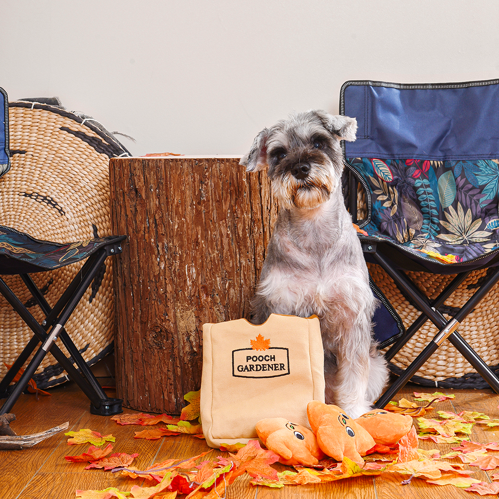Autumn Tailz Leaf Bag - Interactive Toy | HugSmart Pet