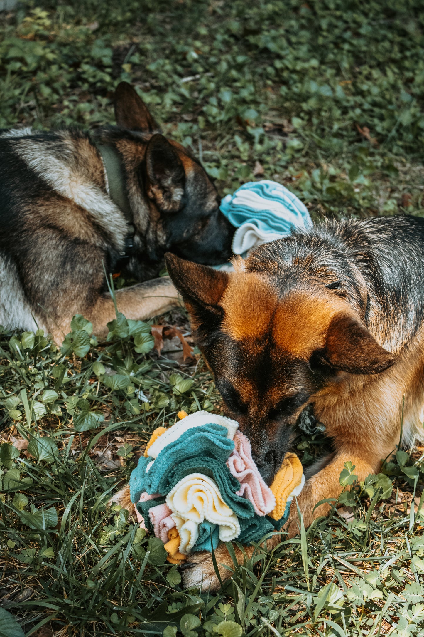 The Koda Snacks Snuffle Ball | Love Liparu