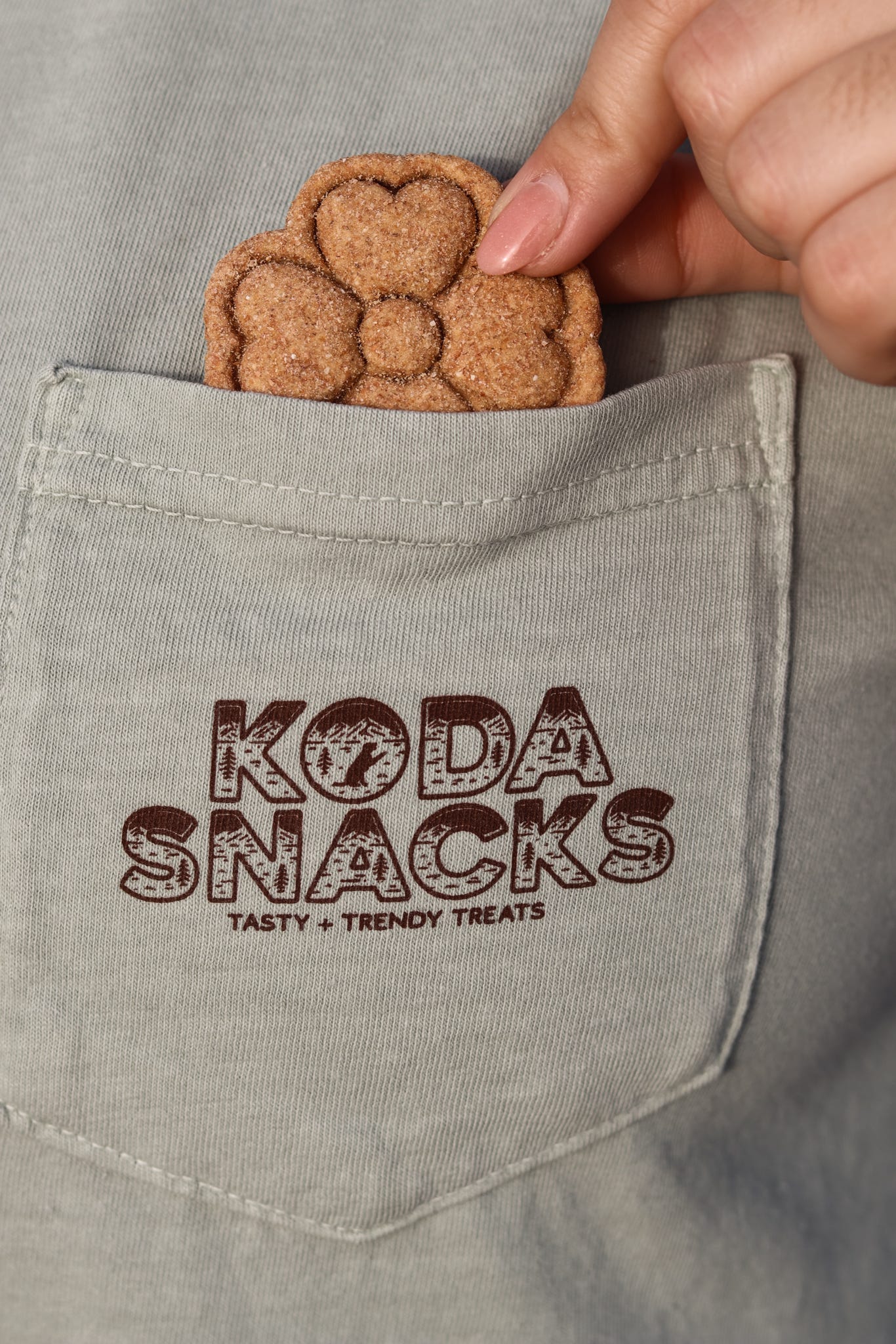 Tribute to Rhody Summer T-Shirt | Koda Snacks