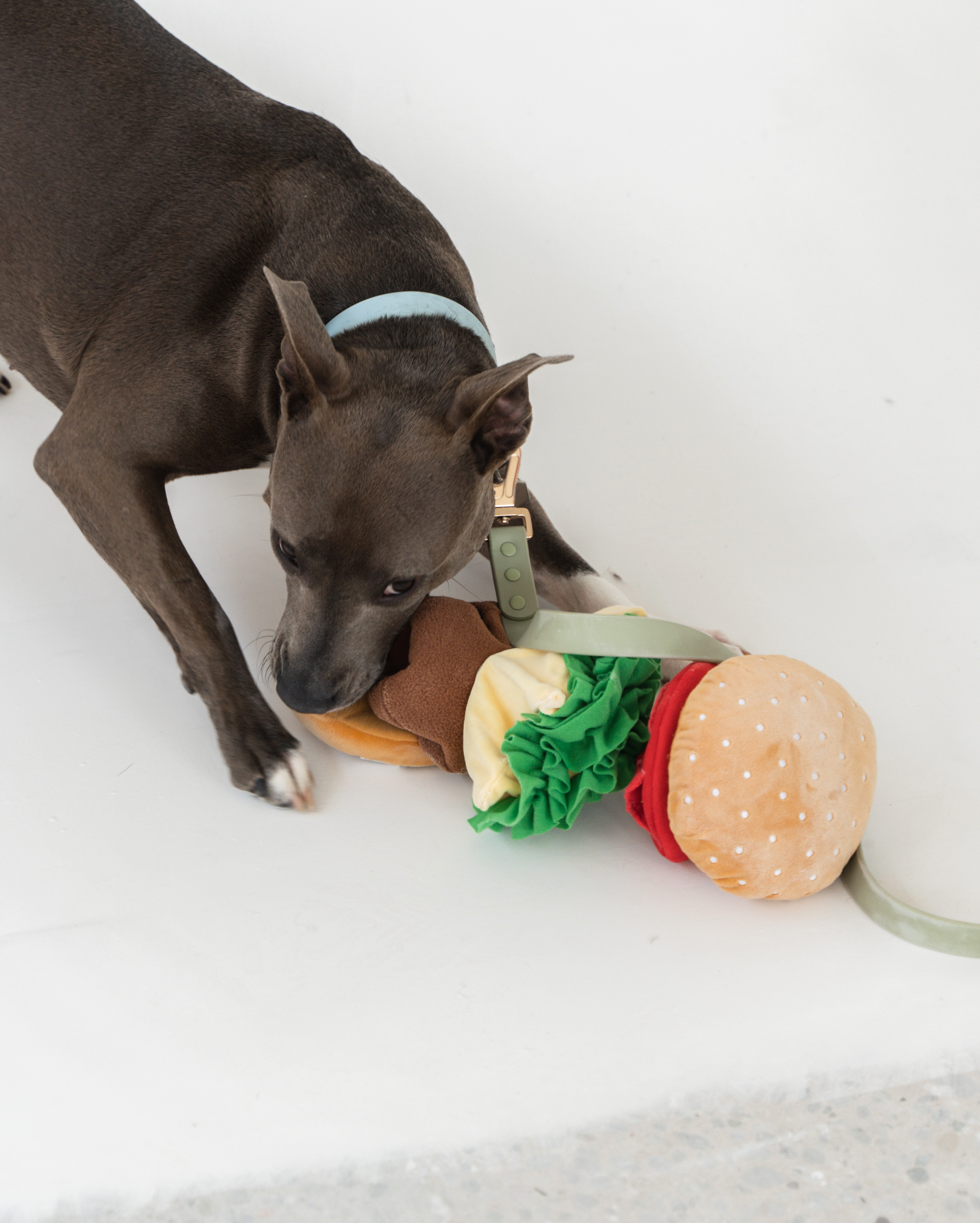 Expandable Treat Burger Snuffle Toy | Dexypaws