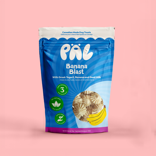 Banana Blast | Pal Treat Co.