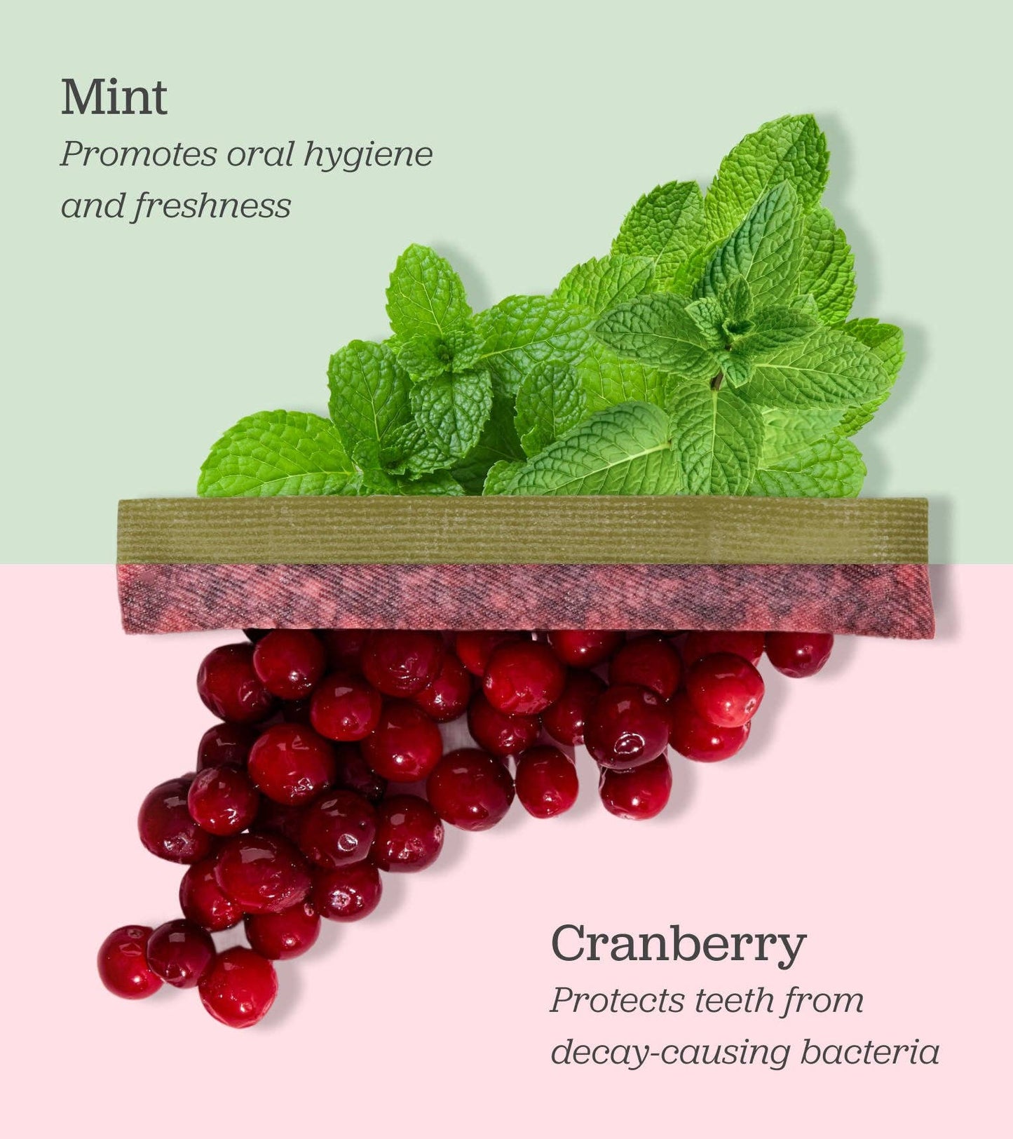 Cranberry & Mint Yak Chew Holiday Gift Set for Dogs | Downtown Barkery