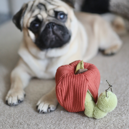 APPLE/ ENRICHMENT TOY SET// SNUFFLE TOY | Lambwolf Collective