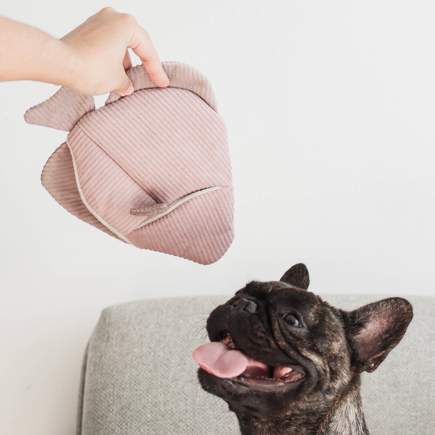 ANGEL FISH//ENRICHMENT DOG TOY | Lambwolf Collective