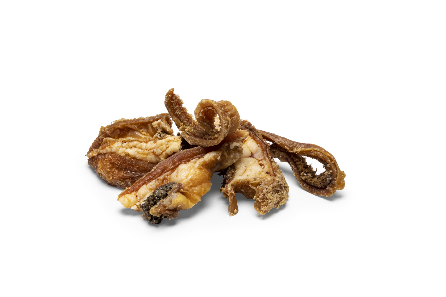 Bison Tripe Bites | Paws and Co.