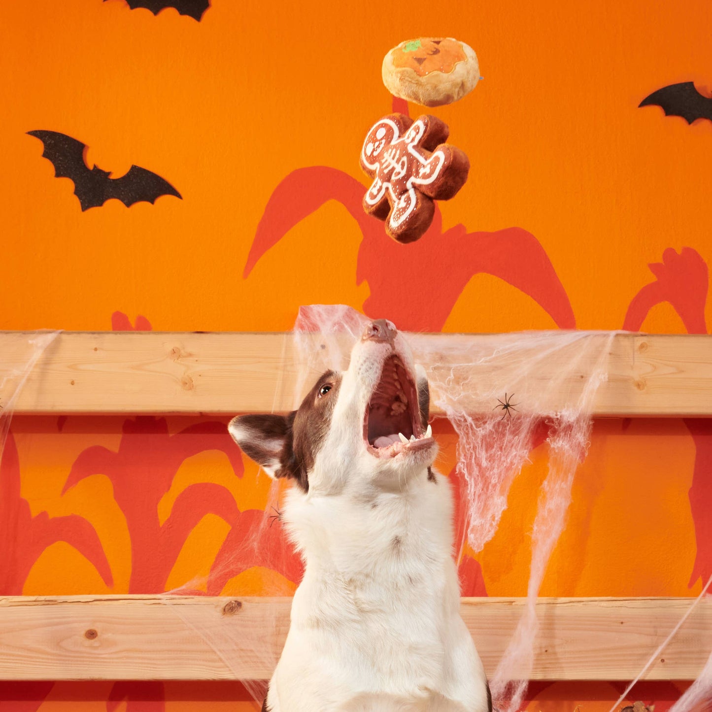 Spookie Cookies Plush Dog Toy | BARK