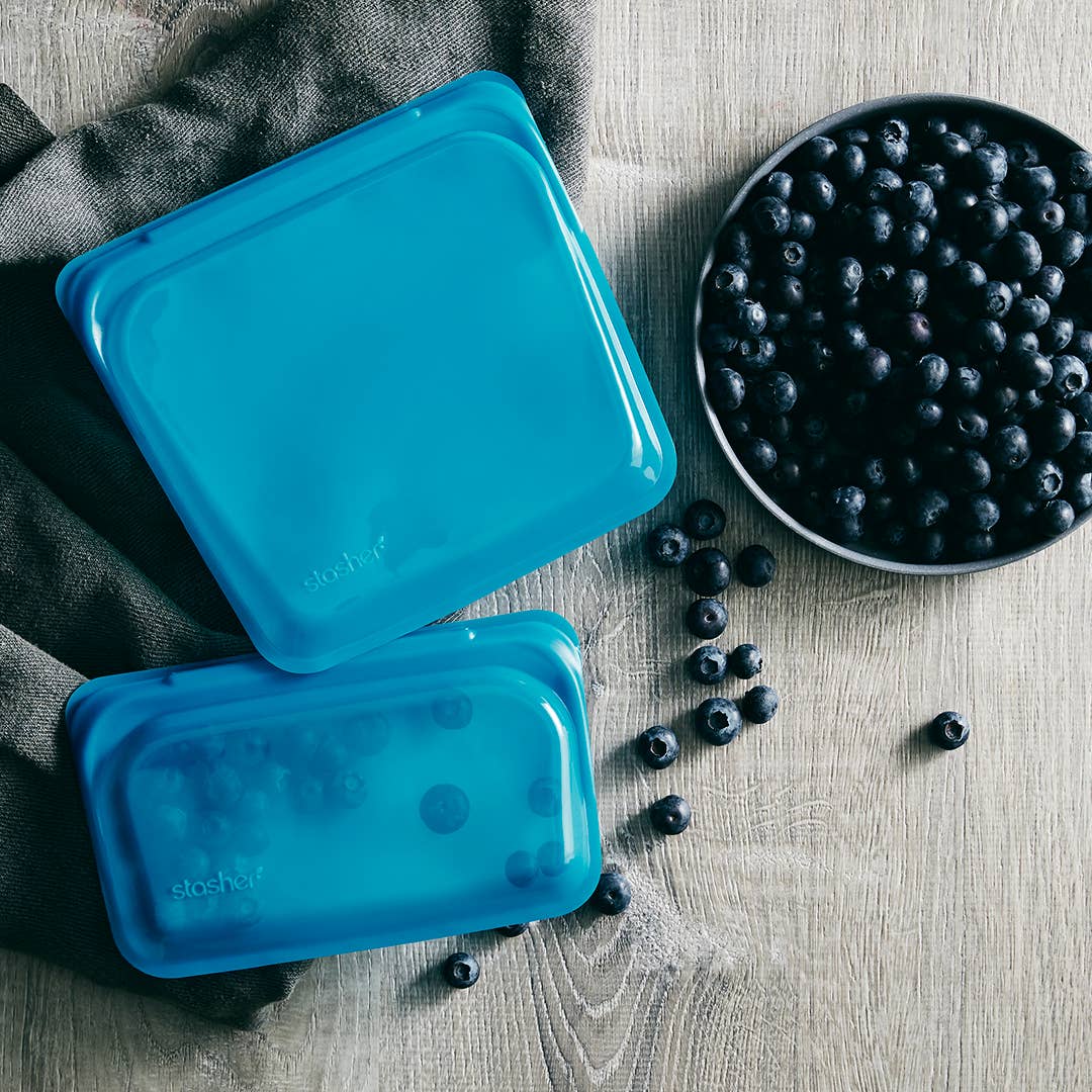 Snack: Blueberry | Stasher