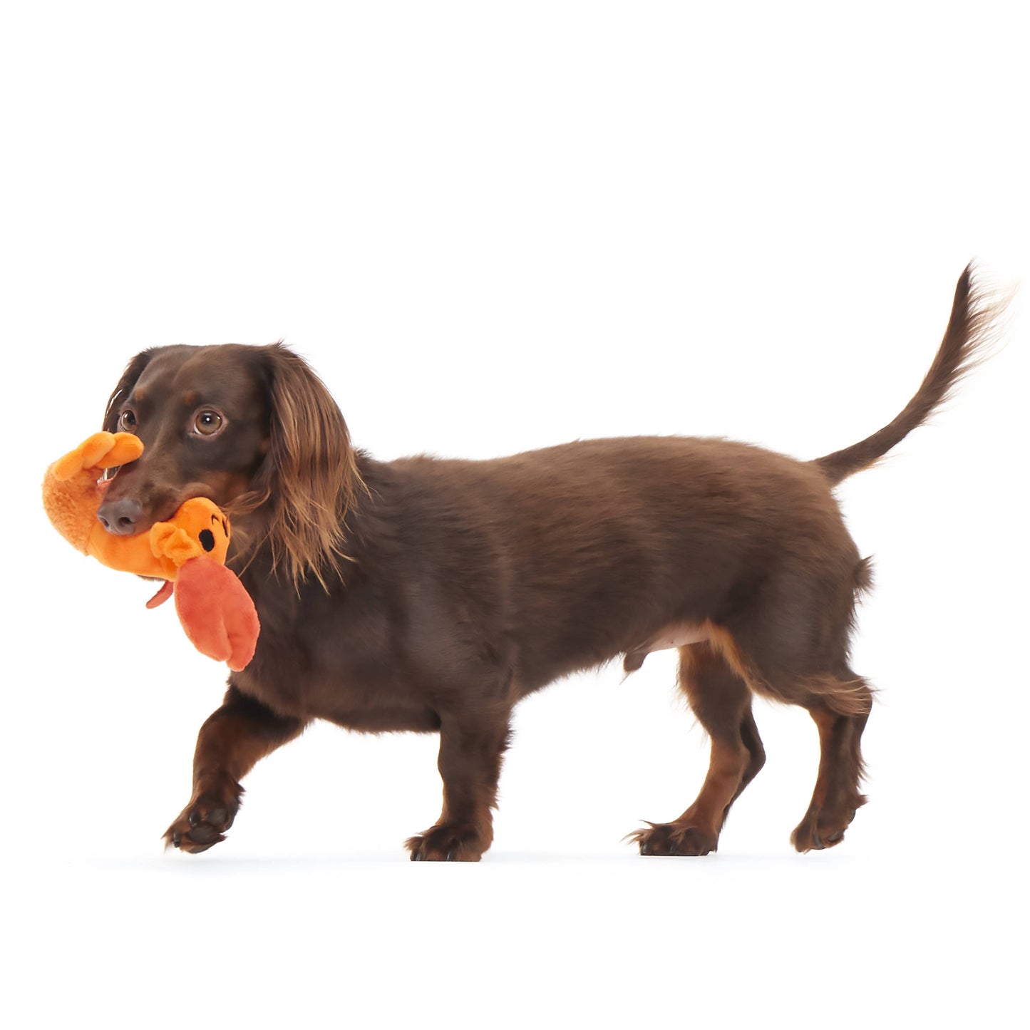 Della Crawfish Plush Dog Toy | BARK