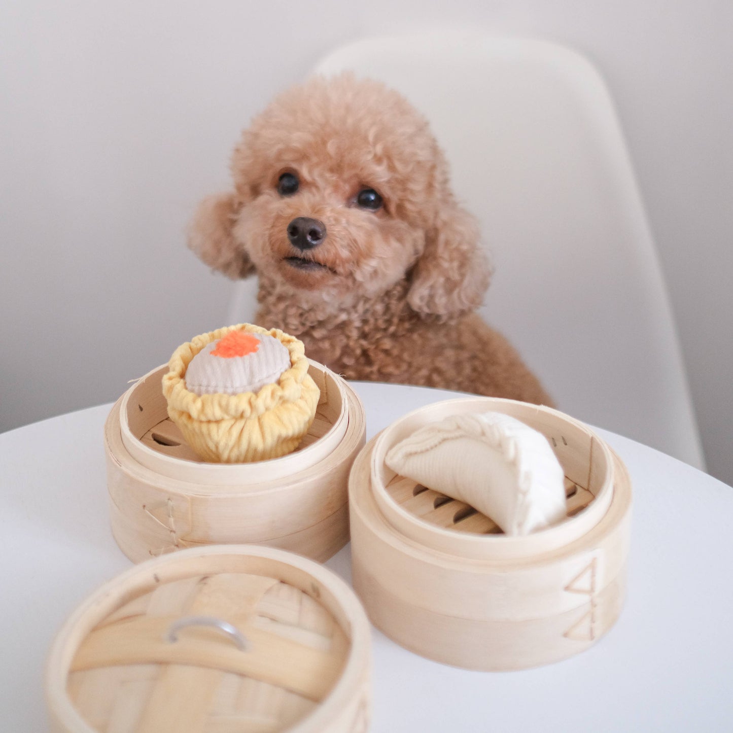 DIM SUM POP // Enrichment dog toy