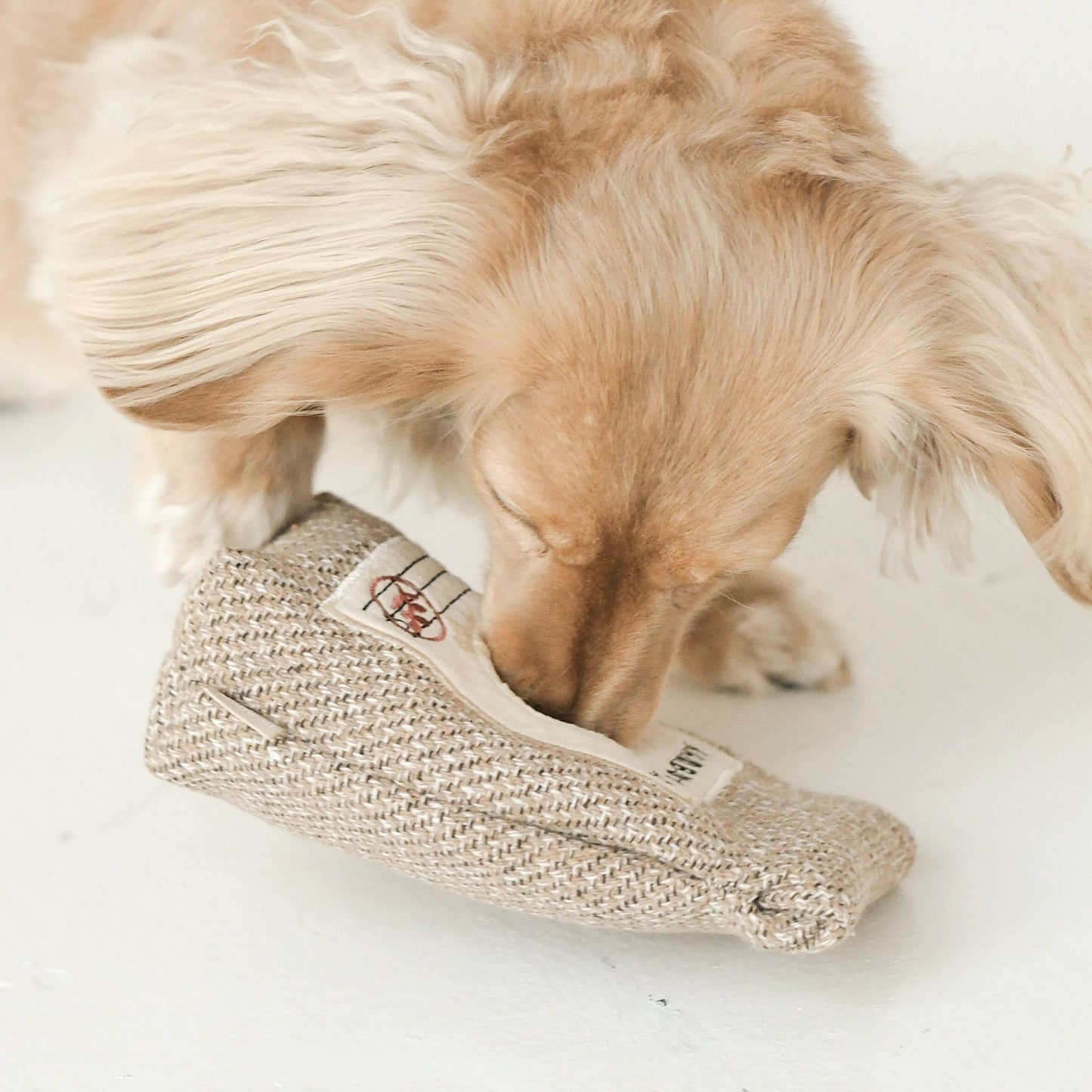 Coffee Beans//ENRICHMENT DOG TOY | Lambwolf Collective