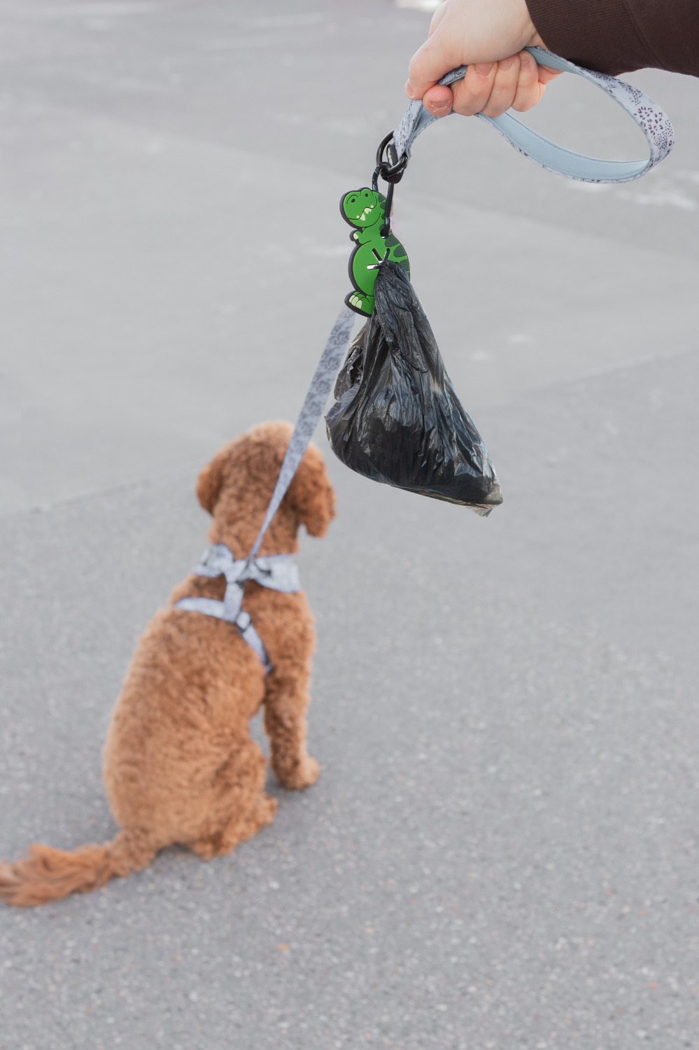 Dinosaur Used Dog Waste Bag Holder