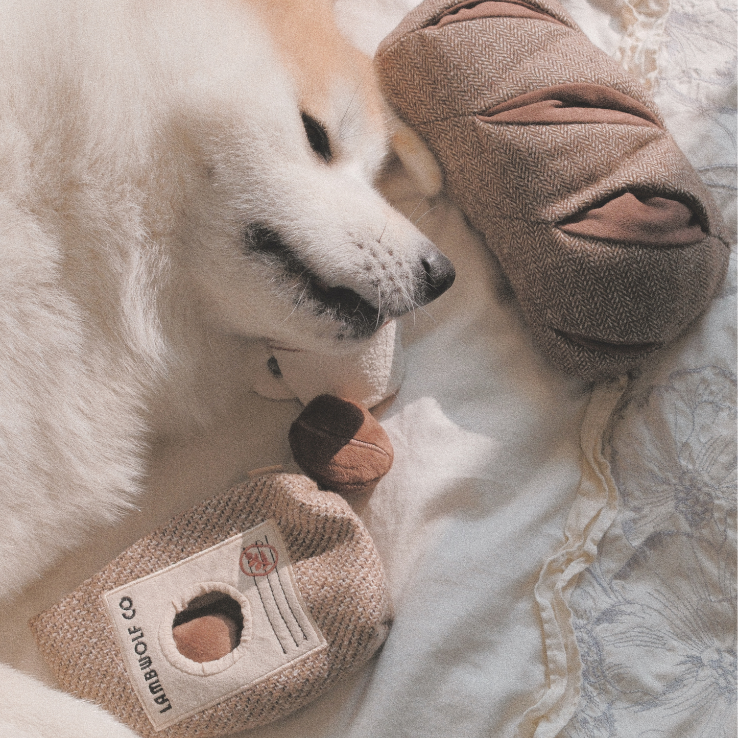 Coffee Beans//ENRICHMENT DOG TOY | Lambwolf Collective