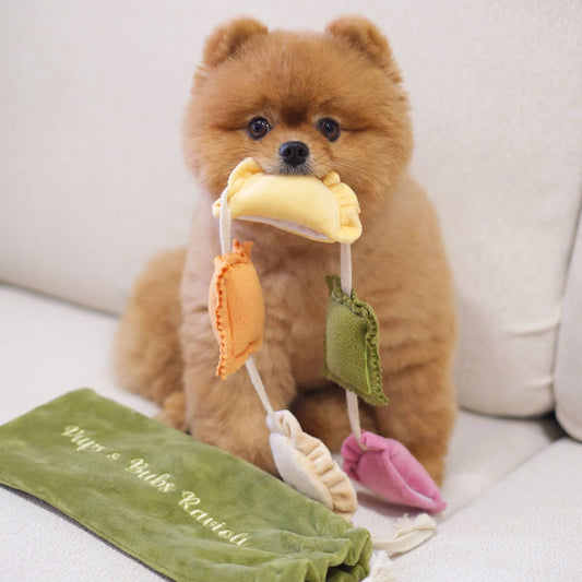 Ravioli Nosework Enrichment Toy | Pups n Bubs