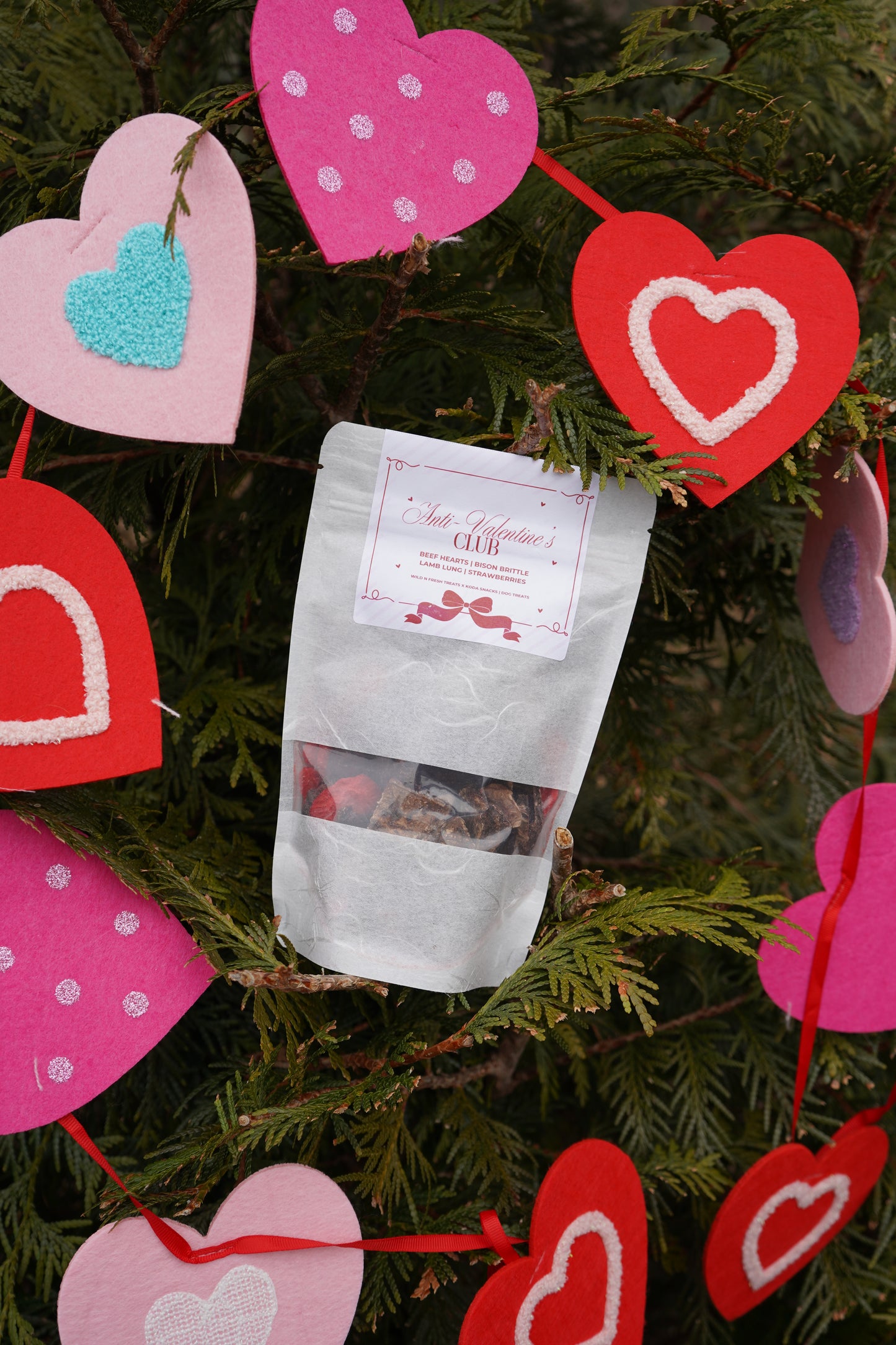 Anti-Valentine's Club Grab Bag | Wild n Fresh Treats x Koda Snacks