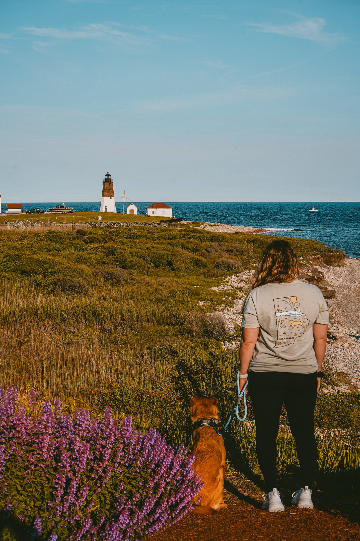 Tribute to Rhody Summer T-Shirt | Koda Snacks