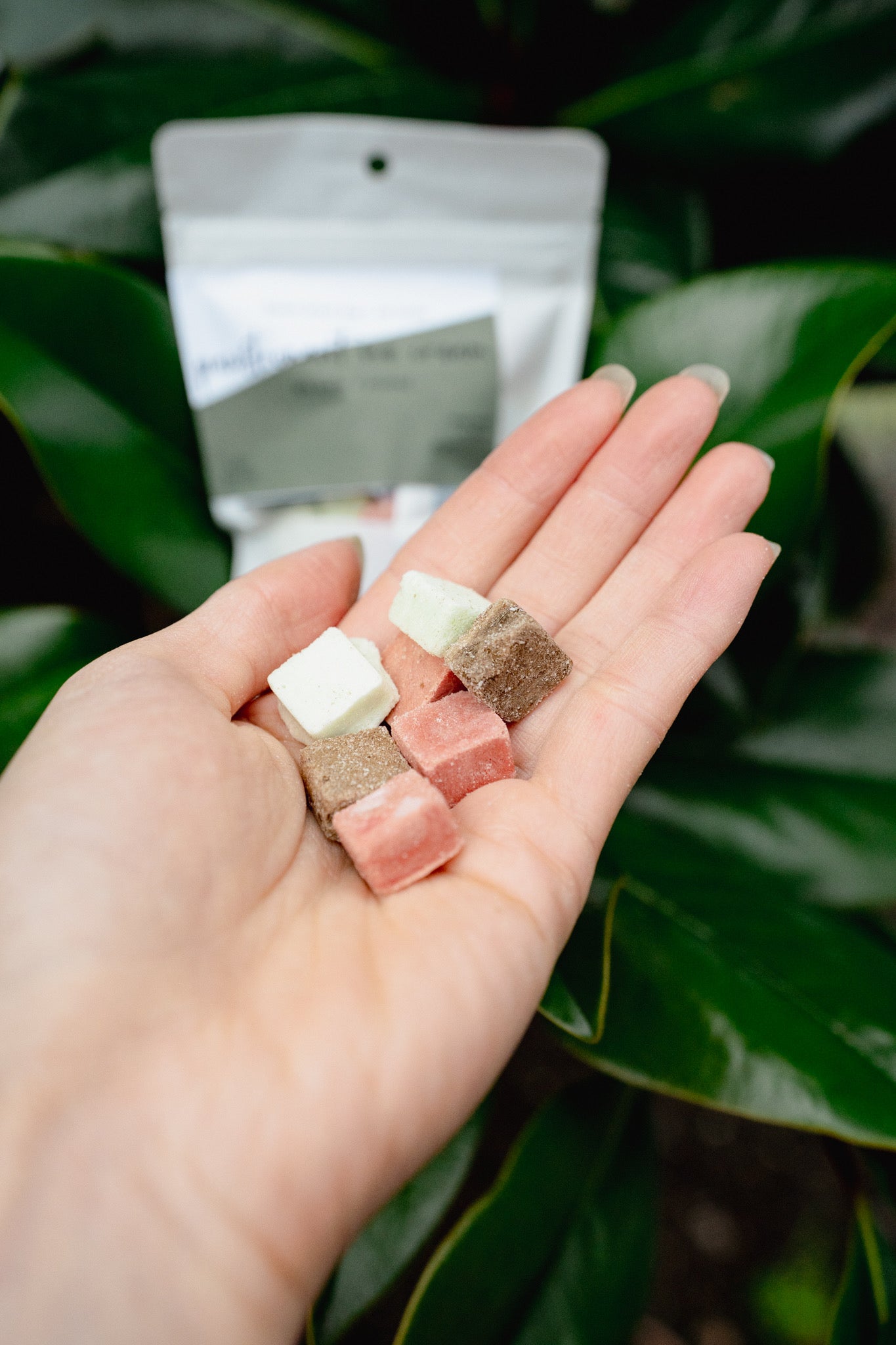 Pawstronaut Ice Cream | Koda Snacks x Love Liparu