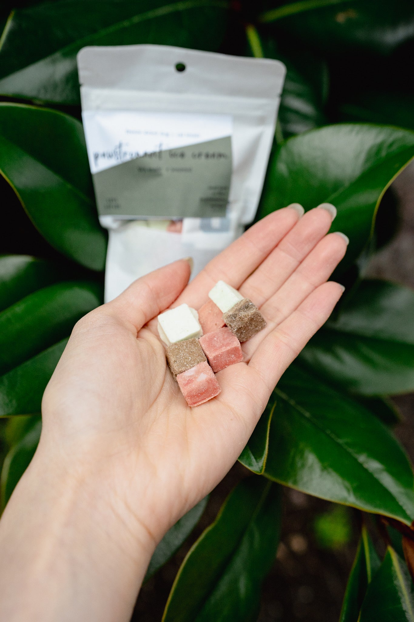 Pawstronaut Ice Cream | Koda Snacks x Love Liparu