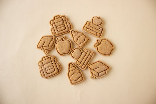 Back to School Minis - 10pc