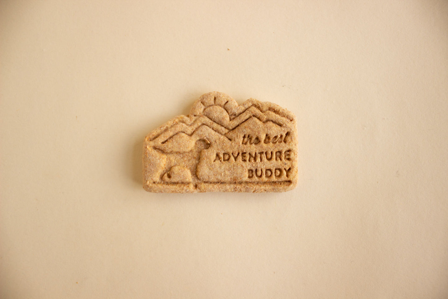 'Best Adventure Buddy' Cookie - Individual