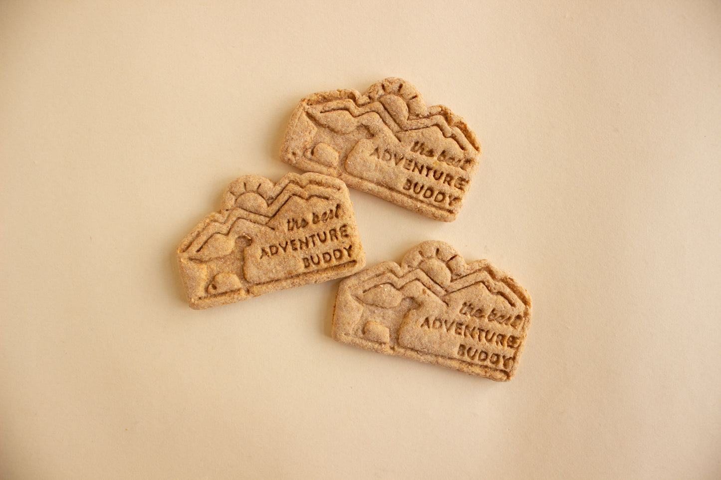 'Best Adventure Buddy' Cookie - Individual