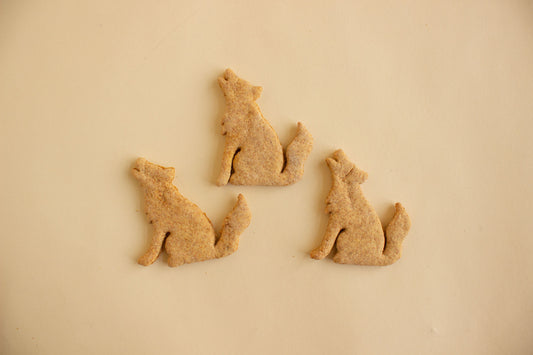 Howling Coyote Cookie - Individual