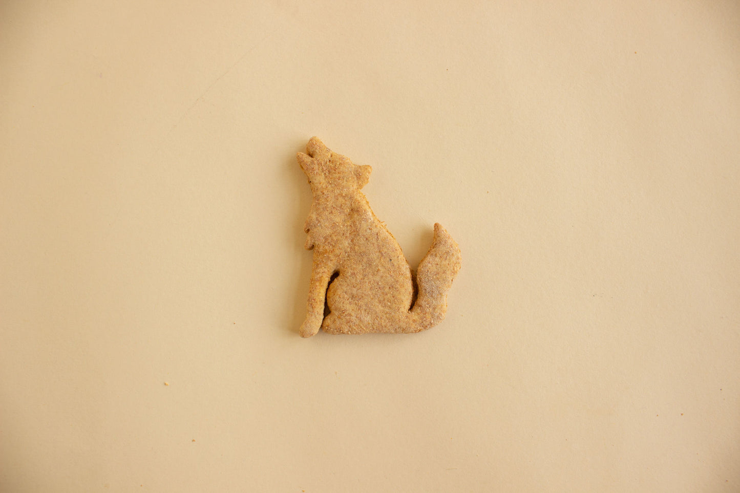 Howling Coyote Cookie - Individual