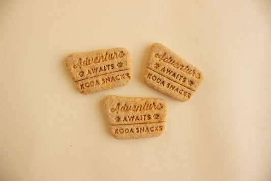 Adventure Awaits Cookie - Individual