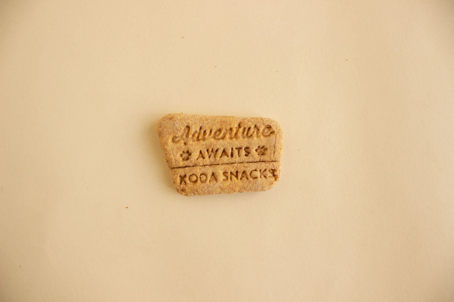 Adventure Awaits Cookie - Individual