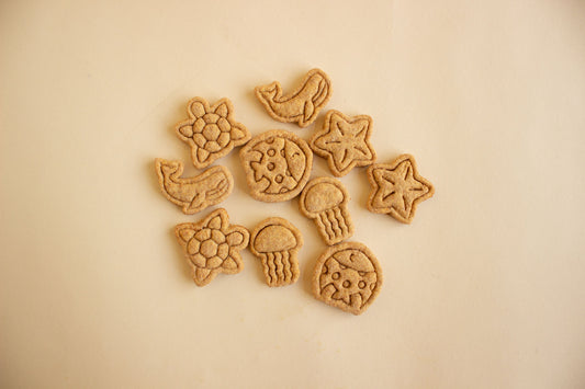 Mini Ocean Animals - 10pc