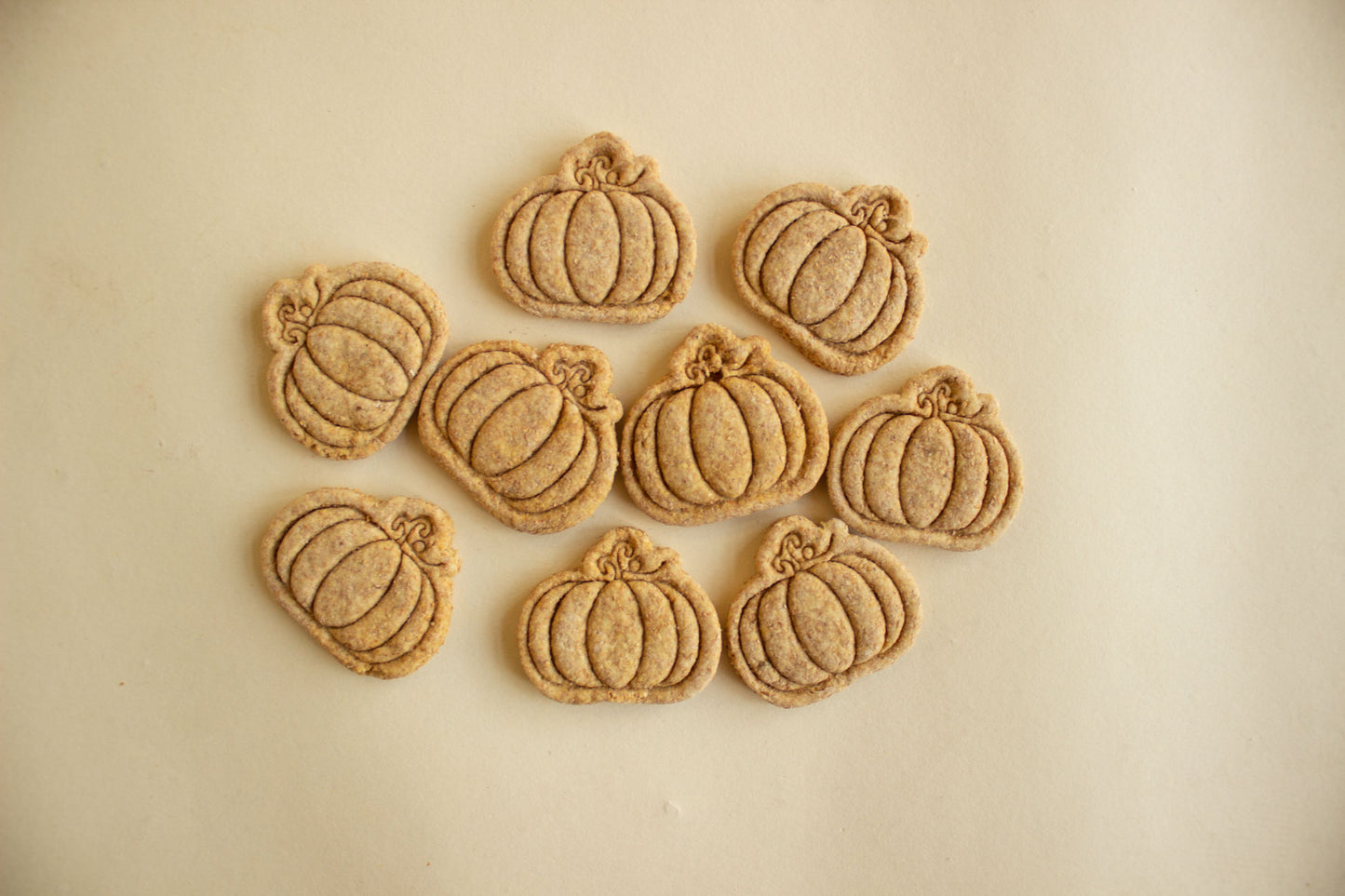 Mini Pumpkins 10pc