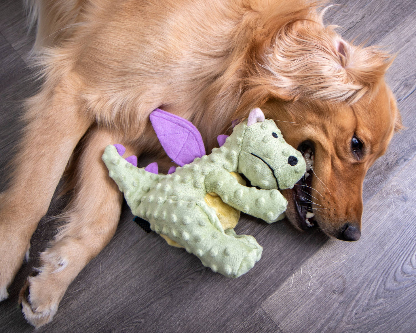 Dragons Squeaky Plush Dog Toy | GoDog