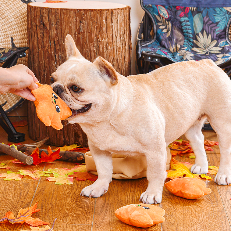 Autumn Tailz Leaf Bag - Interactive Toy | HugSmart Pet