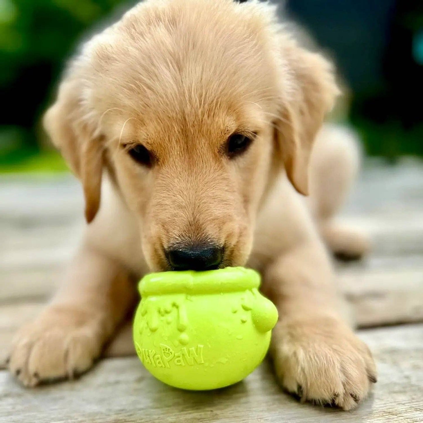 Cauldron Chewer Enrichment Toppler Bowl | DuraPaw