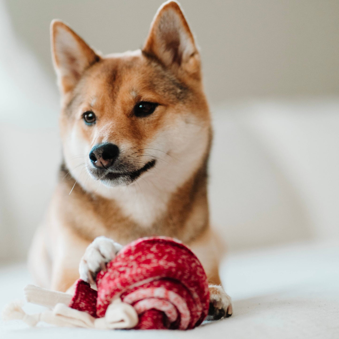 LOLLIPOP//ENRICHMENT DOG TOY | Lambwolf Collective