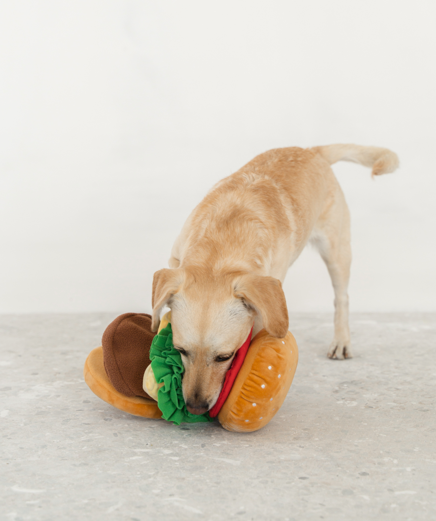 Expandable Treat Burger Snuffle Toy | Dexypaws