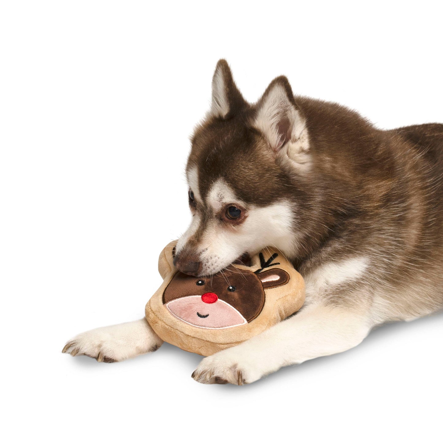 Midlee Reindeer Sugar Cookie Dog Toy: Small