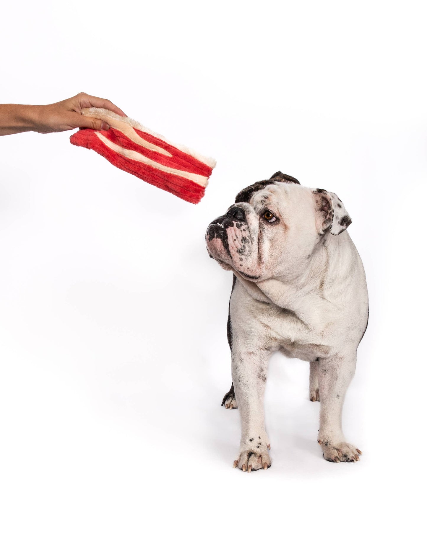 Bacon Dog Toy | Fabdog