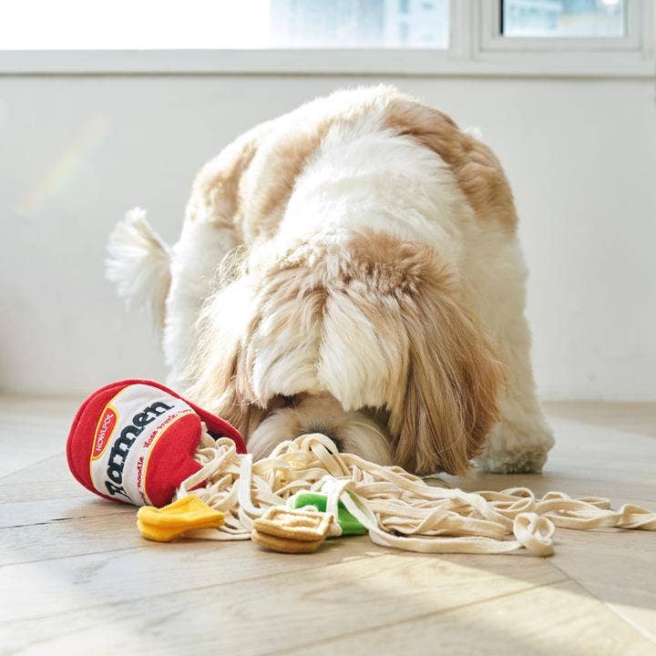 Ramen Noodle Nosework Toy