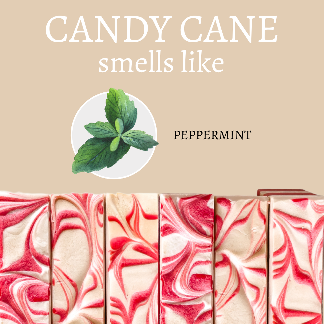 Candy Cane Handmade Bar Soap - 4oz