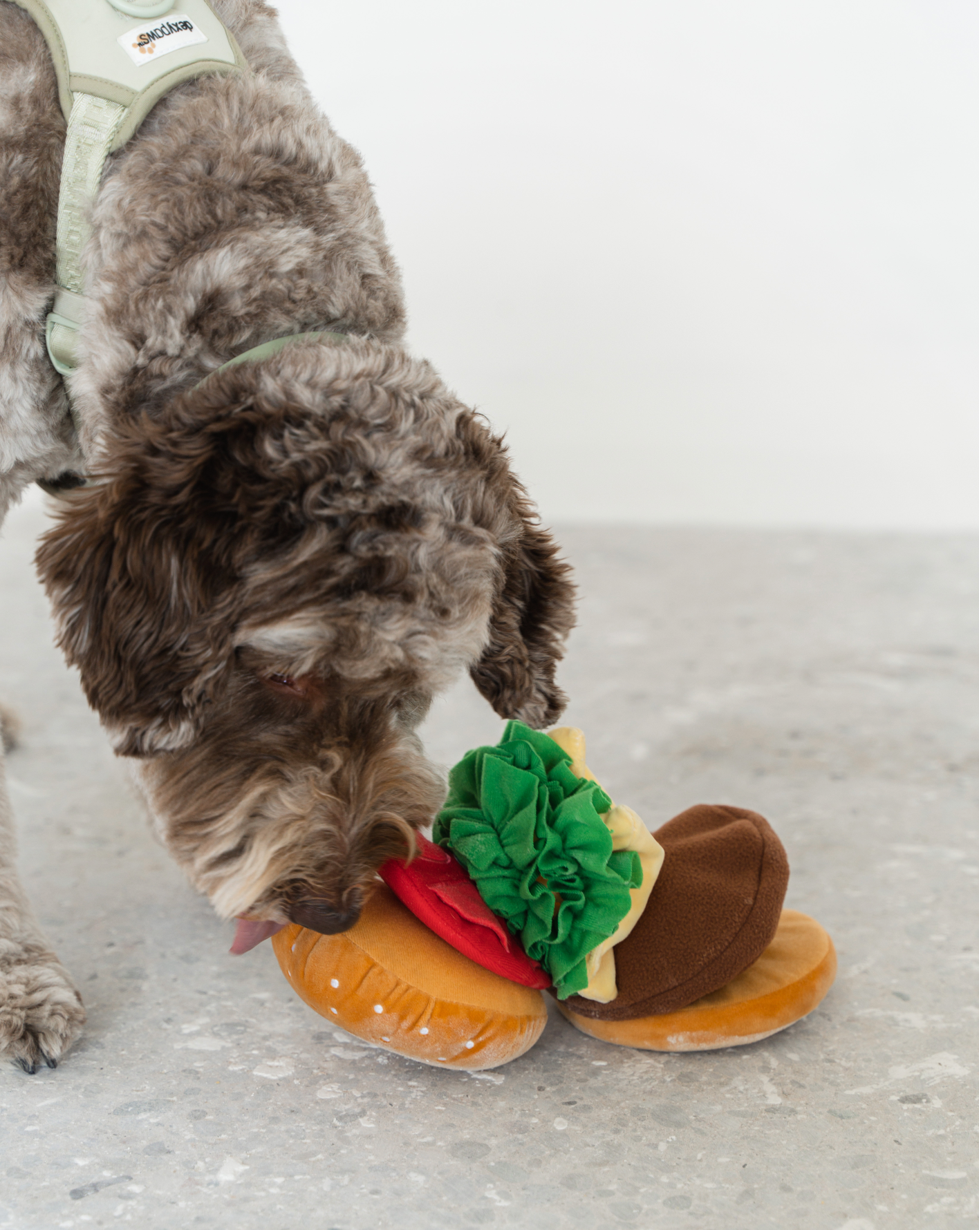 Expandable Treat Burger Snuffle Toy | Dexypaws