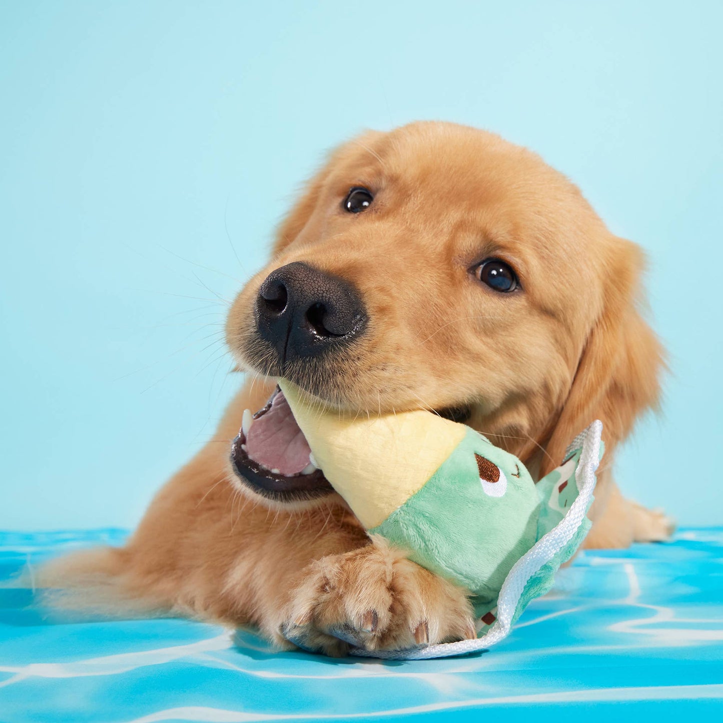 Melty Minty Monty Plush Dog Toy | BARK